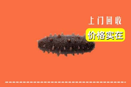 收购资讯:康平县回收海参