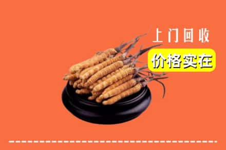 康平县回收冬虫夏草