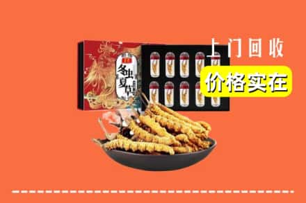 康平县回收虫草